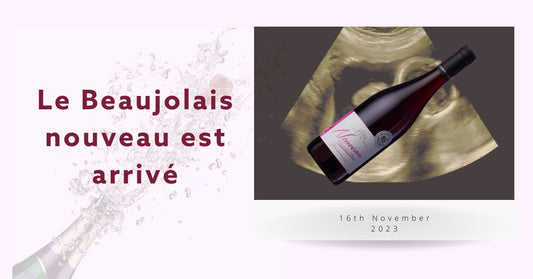 Beaujolais Nouveau 2023: What to expect