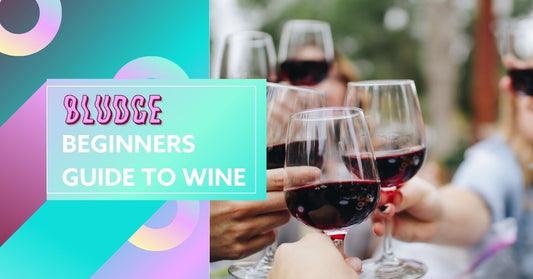 Beginner's Guide to Drinking Wine